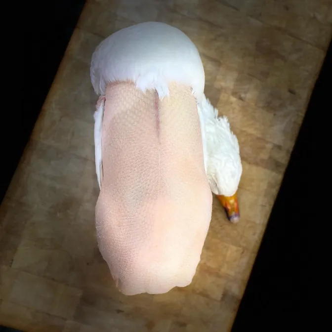 A whole plucked goose laid on a wooden butcher’s block.